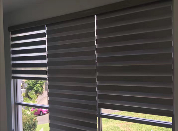 Day And Night Electric Blinds