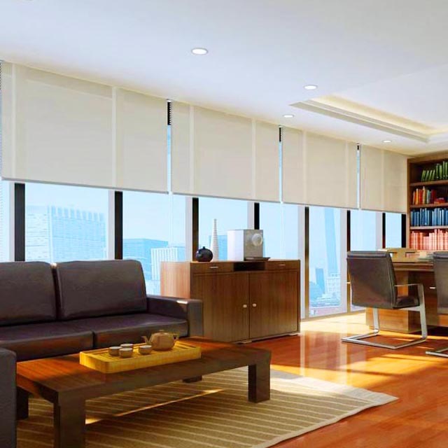 Solar Sunscreen Roller Shades for Office 