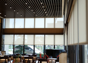 Window Roller Shades