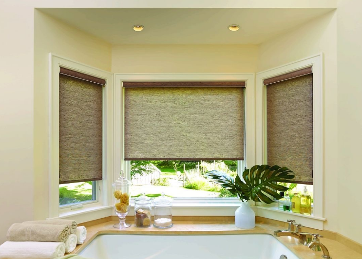 Window Blinds for Home