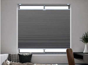 Top Down Bottom Up Roman Shades