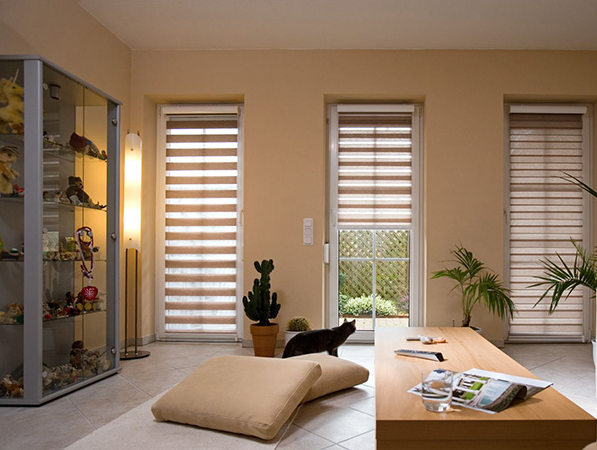 Day And Night Motorised Blinds