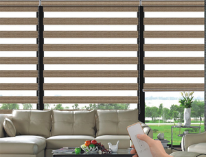 Day Night Electric Blinds